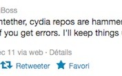 Jailbreak: patientez si vous obtenez des erreurs dans Cydia