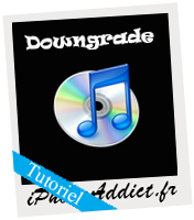 Tutoriel : Downgrader iTunes 9.1 vers iTunes 9.0.3