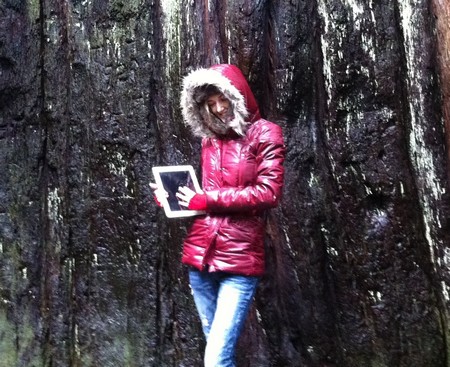 iPad 2 Demande en mariage-2